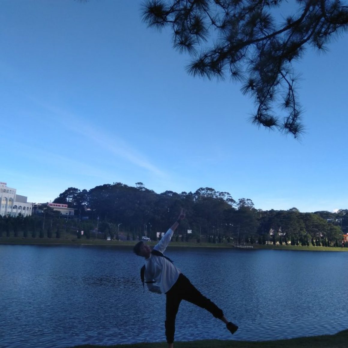 Trần Huy Hoàng hình ảnh