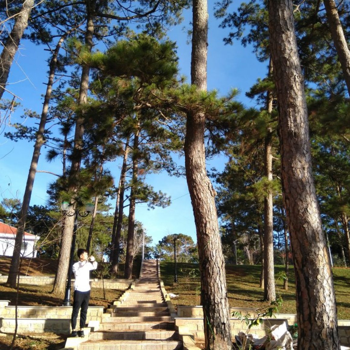 Trần Huy Hoàng 05 1