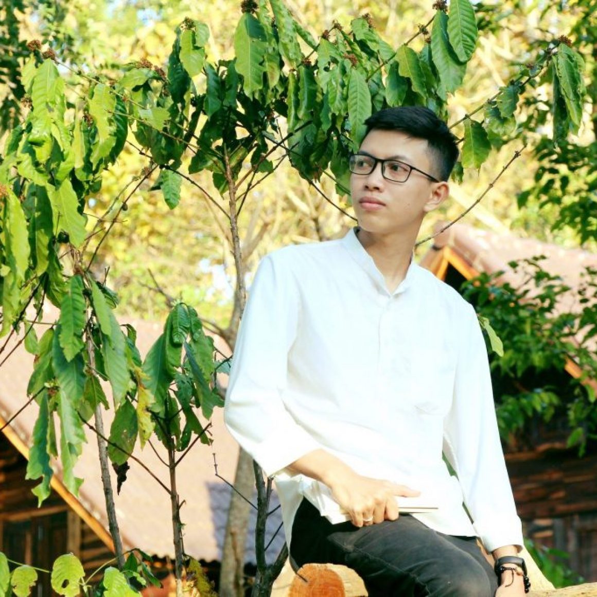 tác giả trần huy hoàng tp.hcm