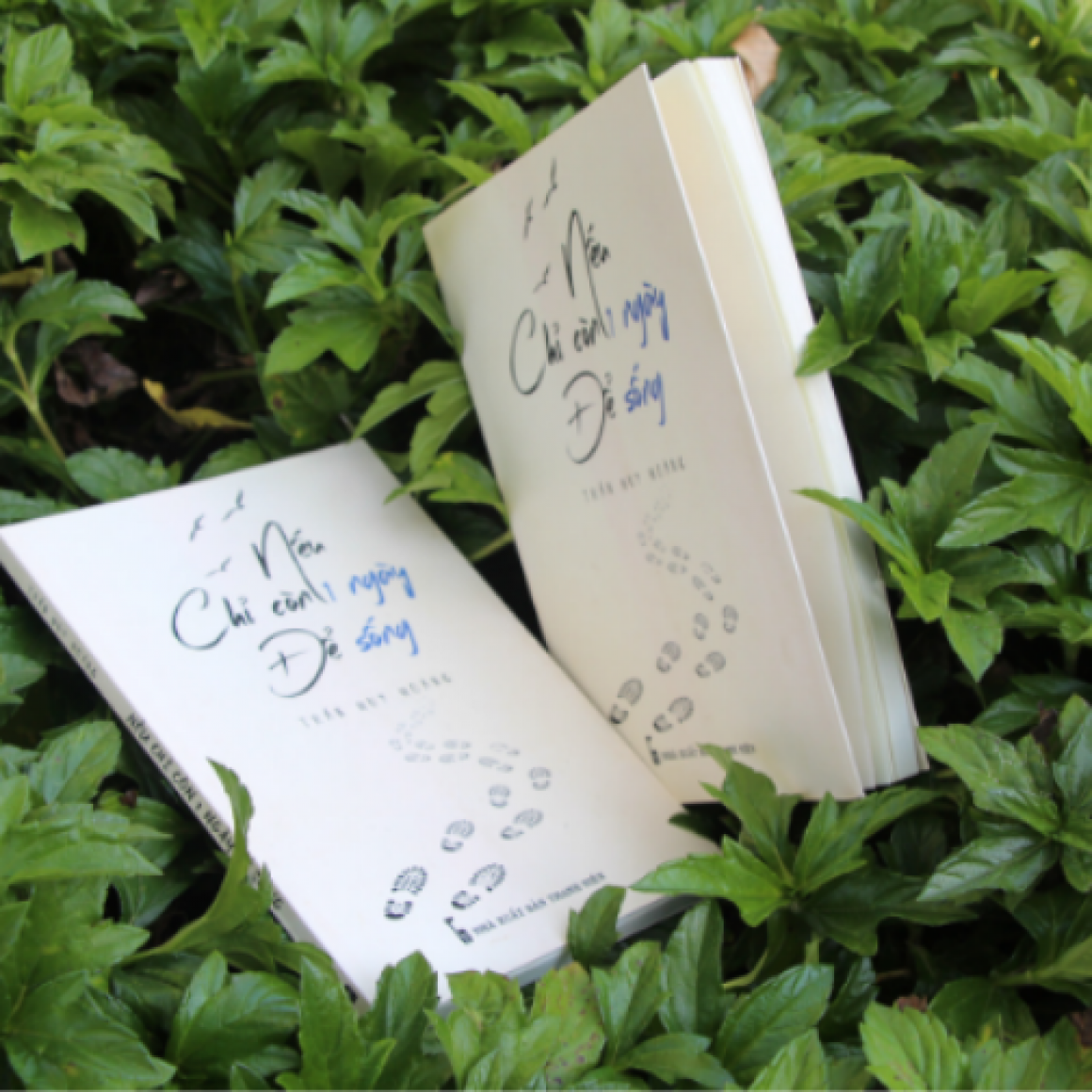 nếu chỉ còn một ngày để sống