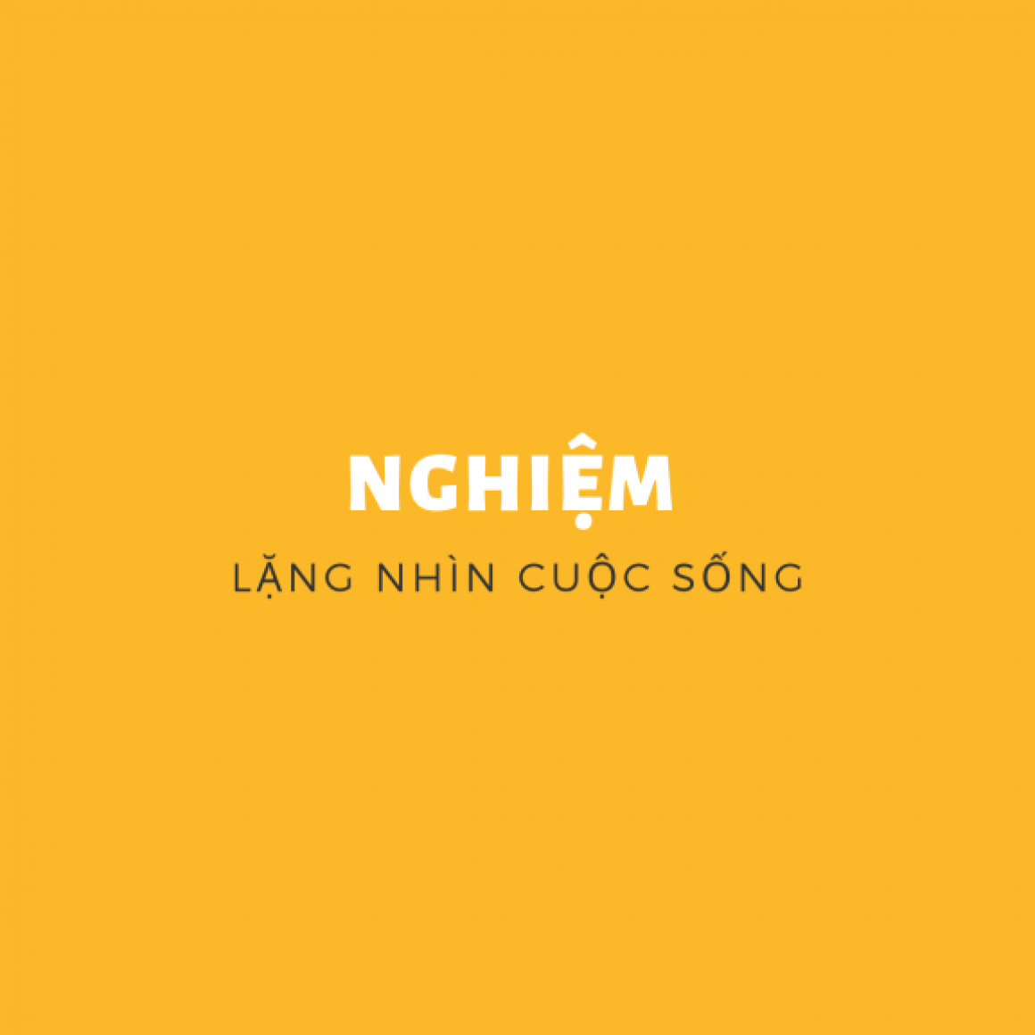 Nghiệm lặng nhìn cuộc sống 1