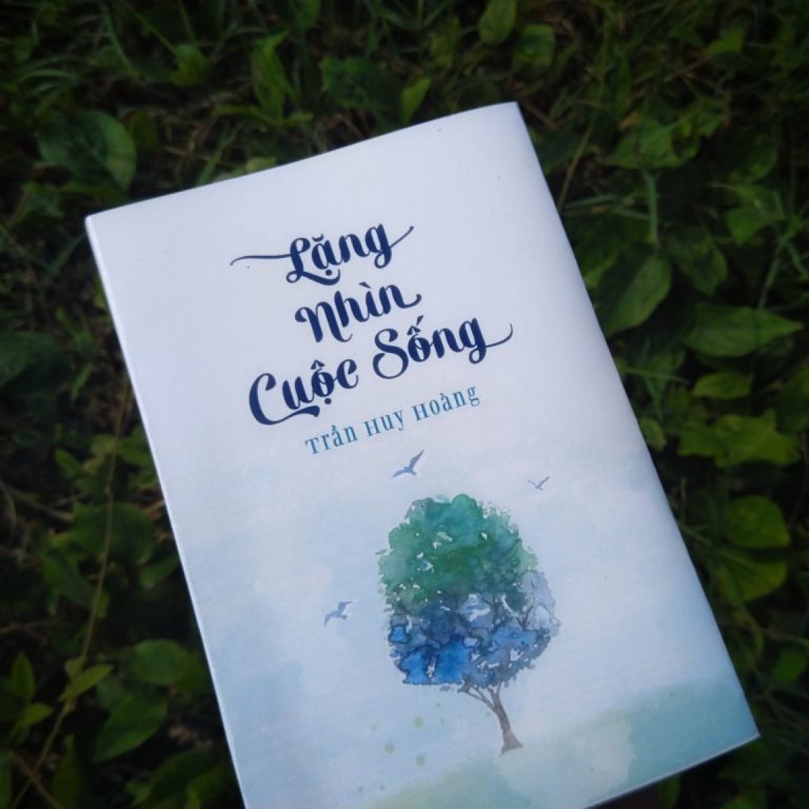 sách lặng nhìn cuộc sống