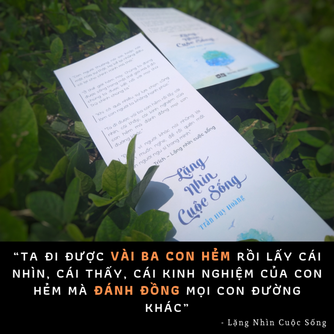 sách lặng nhìn cuộc sống - cuộc sống