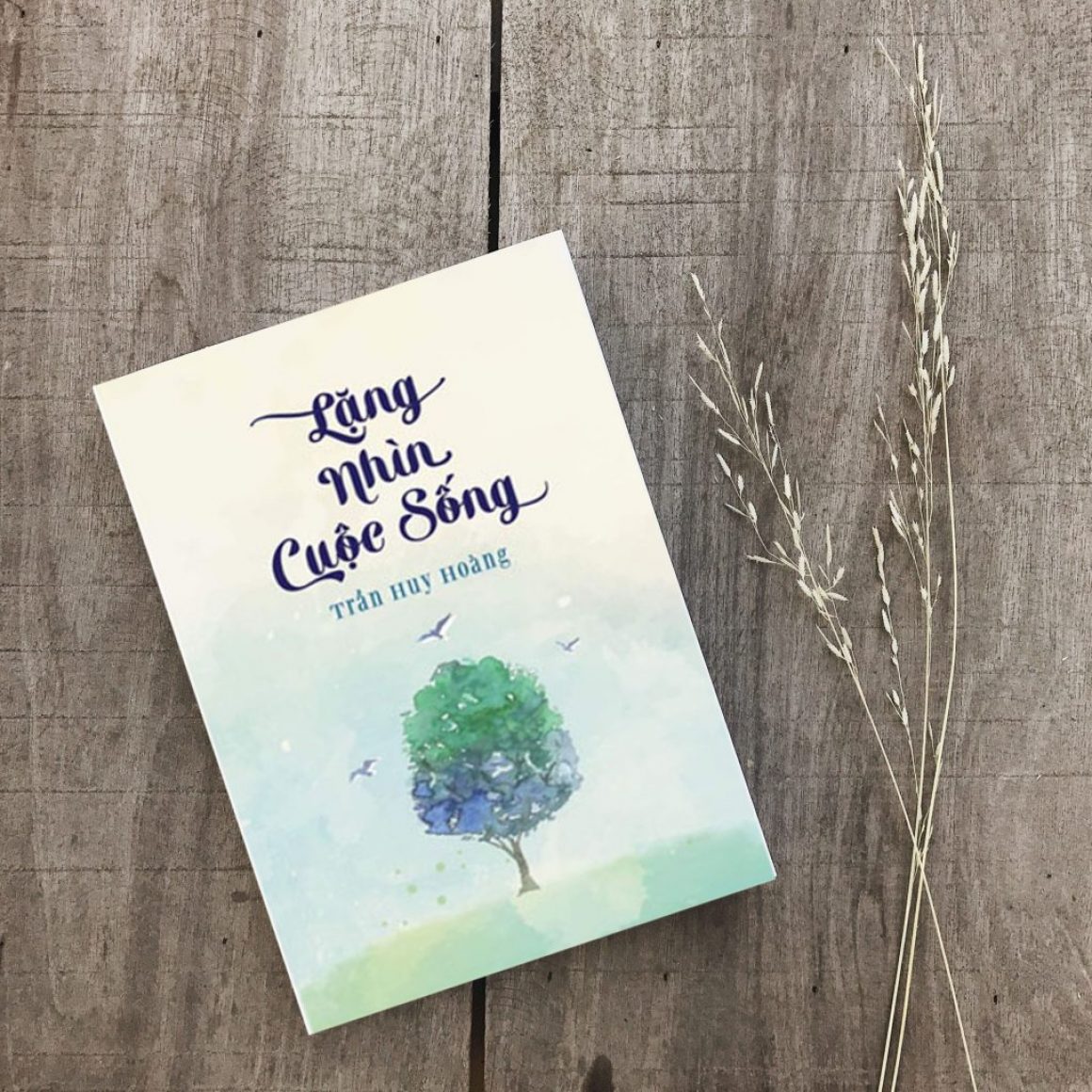 sách lặng nhìn cuộc sống [review sách]