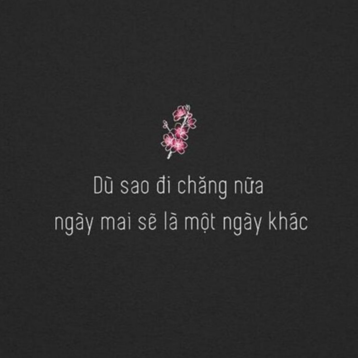 sach-lang-nhin-cuoc-song-3