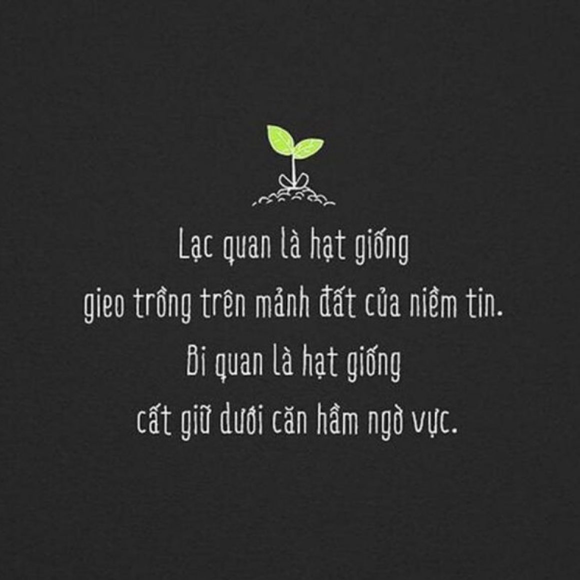 sach-lang-nhin-cuoc-song-5