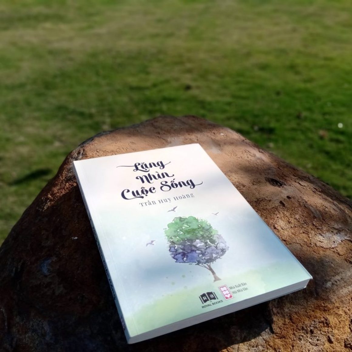 lặng nhìn cuộc sống