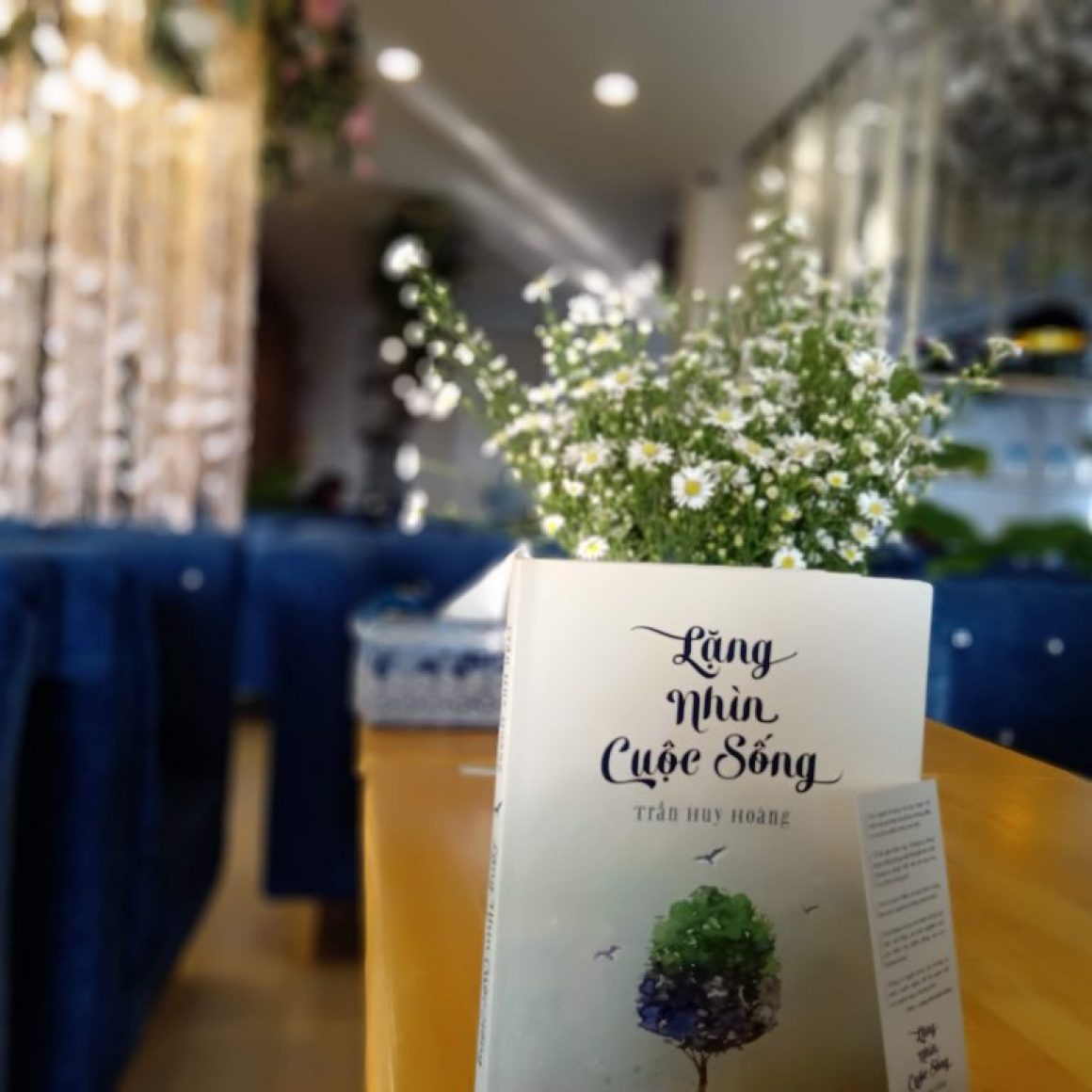 lặng nhìn cuộc sống